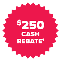 $250 cash rebate starburst