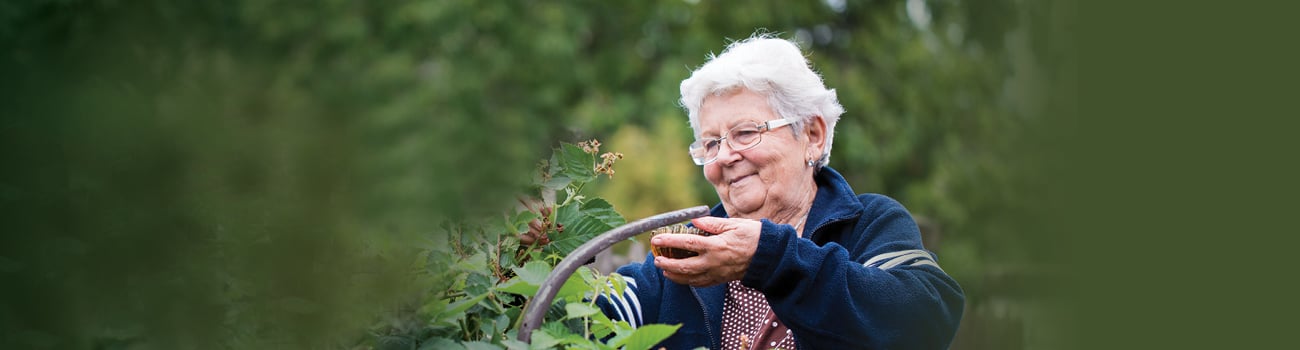 Gardening Lady Desktop