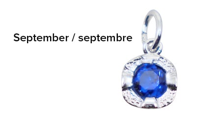 [I1825] Birthstone Charm