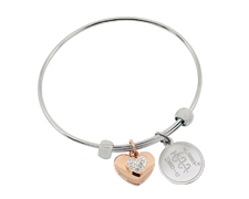 [I716-1] The Stainless Steel Collection - Dazzling Heart