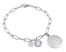 [I755-1] The Stainless Steel Collection - Crystal Charmer - Silver