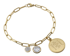[I756-1] The Stainless Steel Collection - Crystal Charmer - Gold Tone